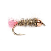 Copperknob (Goddard)