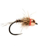 Barbless Tungsten Red Neck
