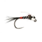 Barbless Tungsten The French Nymph