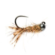 Barbless Tungsten Peeping Caddis