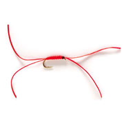 Apps Bloodworm Weighted