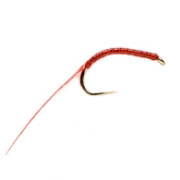 Bloodworm