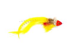 Swimming Red Yellow