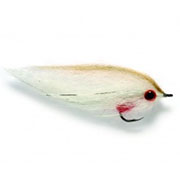 Dougie's Roach