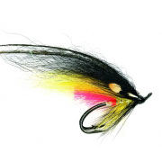 Temple Dog Black & Yellow