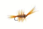 Bomber Brown