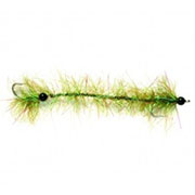 Cactus Worm Olive