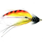 RS Super Snaelda International