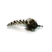 Tarpon Rabbit Roach