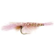 Flashback Shrimp Pink