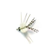 Crab Creole White (JT)