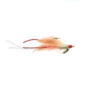 Keel Shrimp