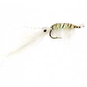 Sand Shrimp Punters Choice