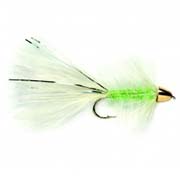 Cats Whisker Golden Bullet