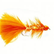 Orange Golden Bullet