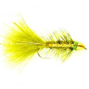 Olive Flash Golden Bullet