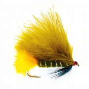 Dawson's Olive