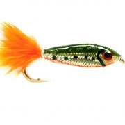 Roach Fry