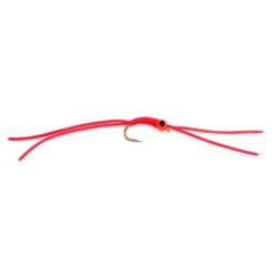 Fario Fly Worm Bug - Barbless