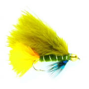 Dawson's Olive Gold