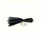 Taddy Black