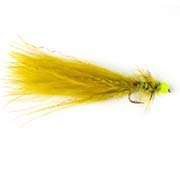 Hot Taddy Olive Green