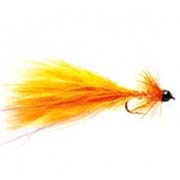 Taddy Orange (TG)
