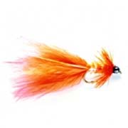 Taddy Coral (TG)