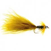 Taddy Damsel (TG)