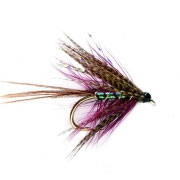 Dabbler Pearly