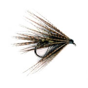 Dabbler Black & Gold