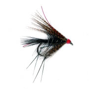 Dabbler Black Leggy