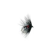 Bibio