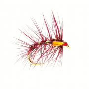 Snatcher Claret