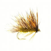 Sedgehog Olive