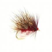 Sedgehog Claret