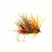 Sedgehog Red Arsed Peter
