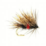 Sedgehog Bibio