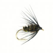 Spider Black & Peacock