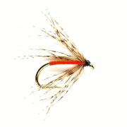 Spider Partridge & Orange