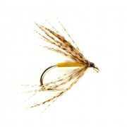 Spider Partridge & Yellow