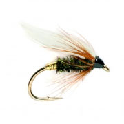 Coachman