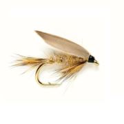 Hares Ear (GRHE)