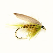 Olive Dun