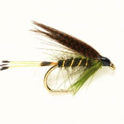 Sooty Olive