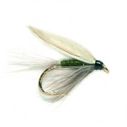 Blue Winged Olive