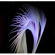 Flybox® UV Reactive Goose Biots 4 pc - Heron Grey