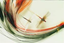 Veniards Stripped Hackle Quills