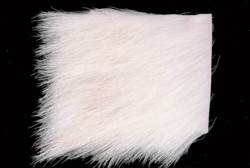 Veniards Calf Body Hair