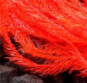 Flybox® Small Crystal Hackle 5mm - Ultimate Fire Orange